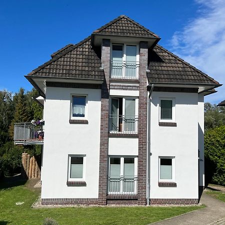 Ferienwohnung Bernsteinfinder Staedtische Bestlage 리브니츠 담가르텐 외부 사진